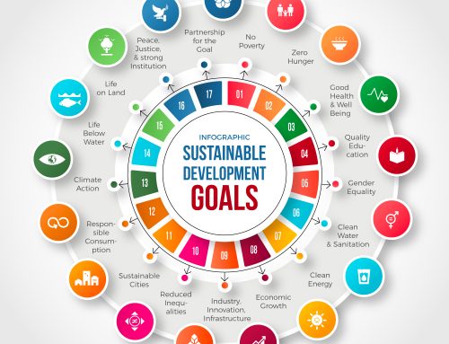 UN Sustainable Development Goals